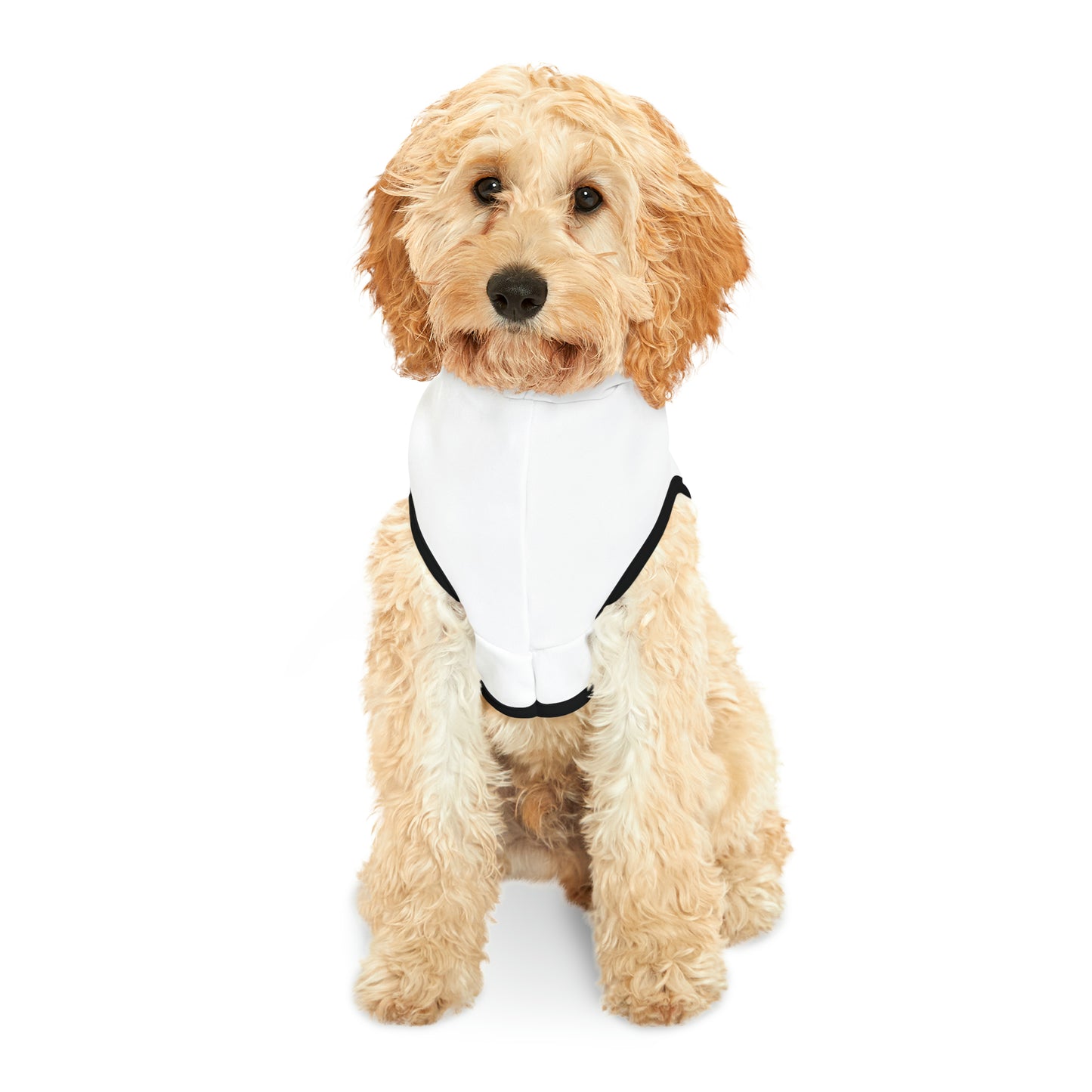 PRE-SALE C.I.S Pet Hoodie