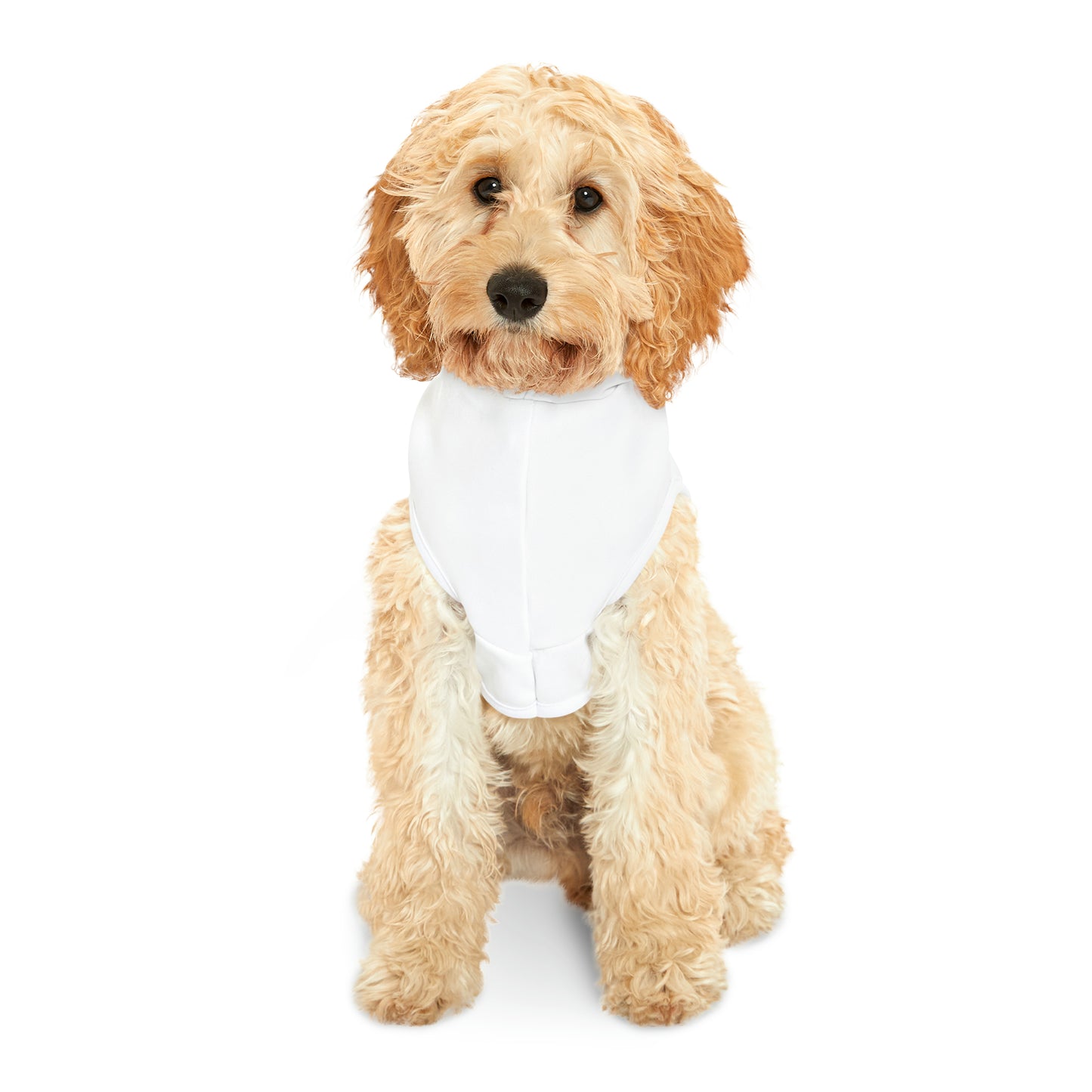 PRE-SALE C.I.S Pet Hoodie