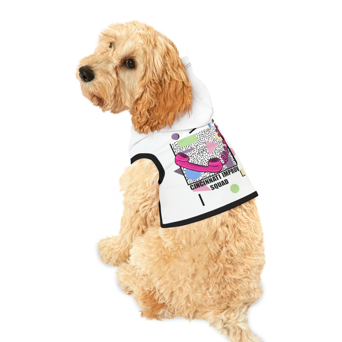 PRE-SALE C.I.S Pet Hoodie